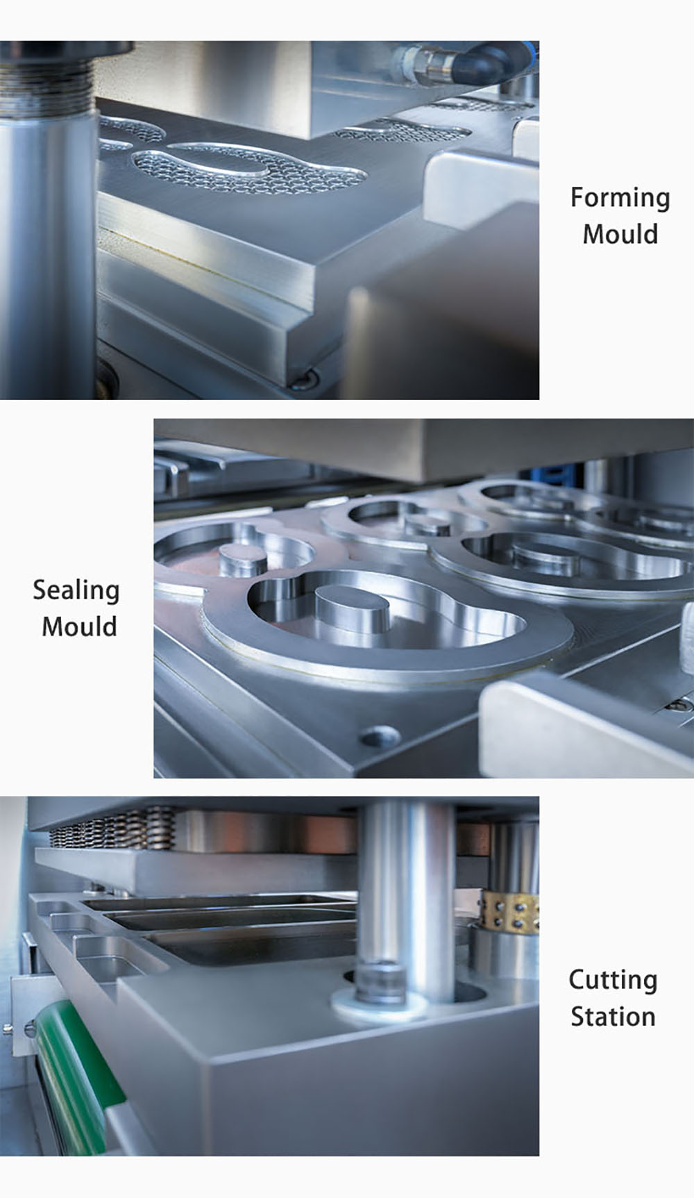 eye mouth facial blister filling packing machine main station display